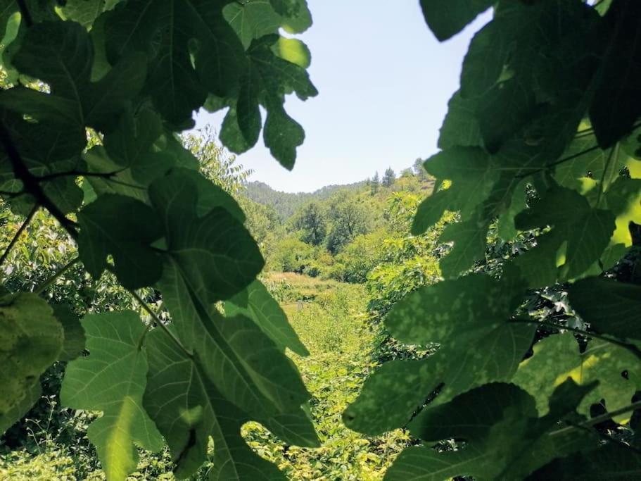 La Casirria Villa Olba Bagian luar foto